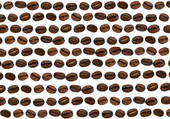 Кофейные зерна сорта арабики и робусты